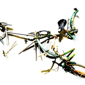 fietsen.jpg