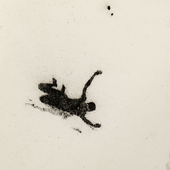 gerestein-zt-23-4x23-4cm-2020-4.jpg