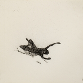 gerestein-zt-23-4x23-4cm-2020-6.jpg