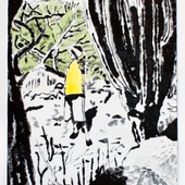 observador.jpg