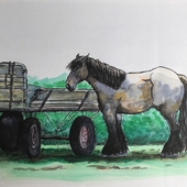 paard-naast-boerenkar.jpeg