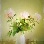 snapseed.jpg