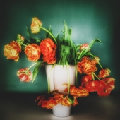 stilleven-met-tulpen.jpg