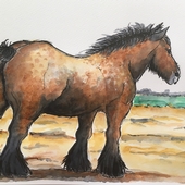 zeeuws-paard-2-aank-cbk.jpeg