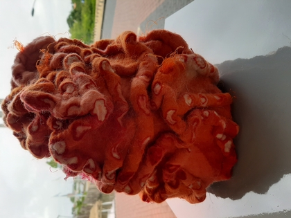 coral-oosterschelde-1.jpg