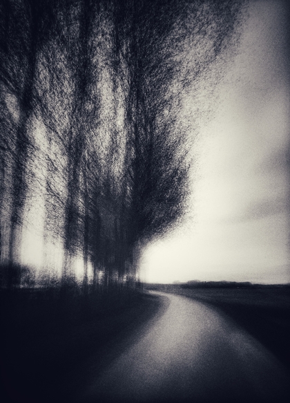 polderweg.jpg